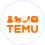 E-commerce Temu E-commerce Temu